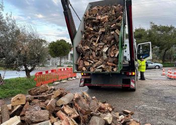 Άρχισε η δωρεάν διανομή ξυλείας στους κατοίκους της Γλυφάδας