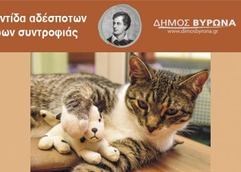 Ζητούν σπίτι τα γατάκια που διέσωσε το Τμήμα Αστικής Πανίδας