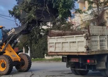 Άνευ καταβολής τέλους αποκομιδής συνεχίζει ο Δήμος την περισυλλογή κλαδιών