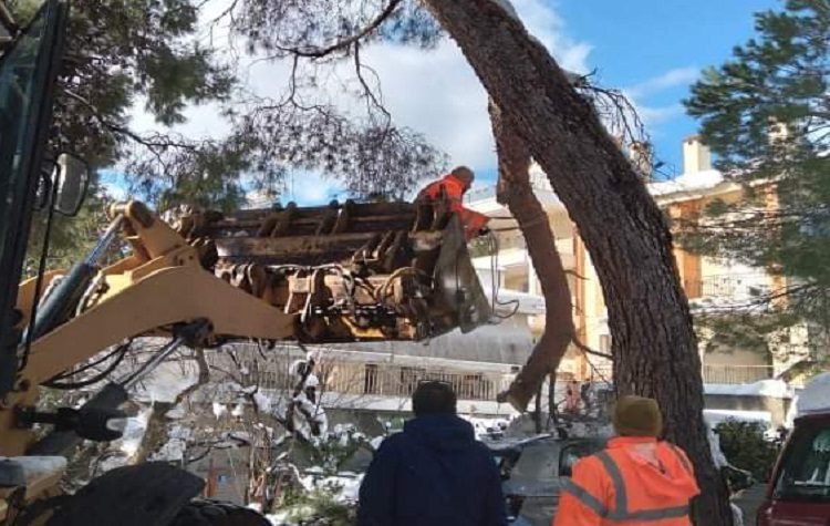 Συνεχίζεται με εντατικούς ρυθμούς η αποκομιδή των κλαδιών στην Πεντέλη
