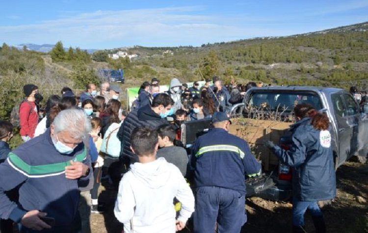 Ολοκληρώθηκε με επιτυχία η δράση Σποροφύτευσης - Δενδροφύτευσης του ΣΠΑΠ στον Κοκκιναρά