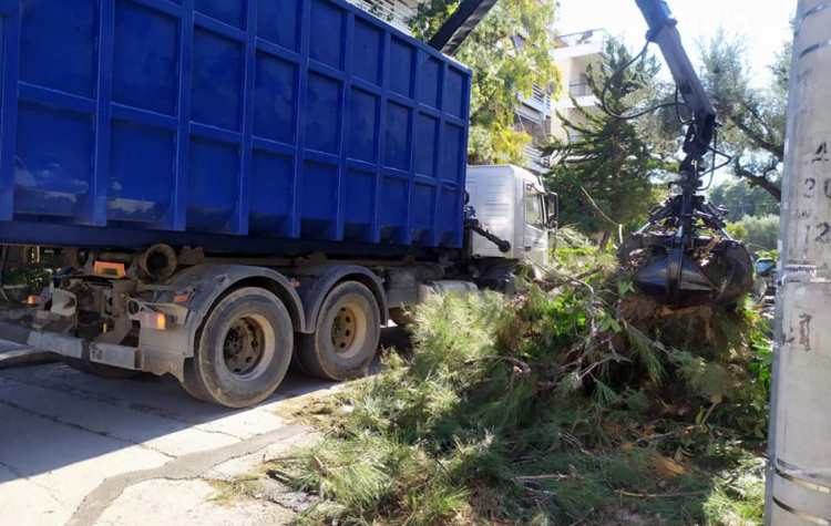 Δήμος Χαλανδρίου: Πάνω από 1.700 (!) σημεία με πεσμένα δένδρα και κλαδιά (Εικόνες)