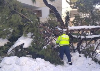 Δήμος Βριλησσίων: Προϋποθέσεις για την καταβολή αποζημίωσης ιδιοκτητών οχημάτων από την «Ελπίδα»