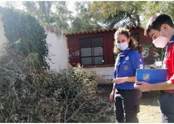 3ο Σύστημα Προσκόπων: «Χείρα βοηθείας» για τα επικίνδυνα κλαδιά