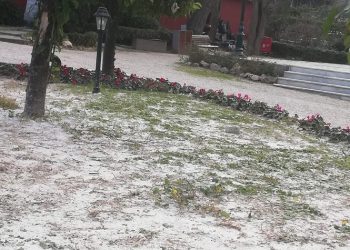 Ο Δήμος για τις ζημιές στο Άλσος Κηφισιάς: «Θα αποκατασταθούν με δαπάνες του παραχωρησιούχου»