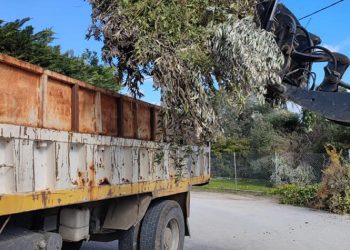 Πρώτος απολογισμός του Δήμου για την επιχείρηση αποκομιδής κλαδεμάτων από την «Ελπίδα»