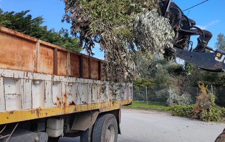 Πρώτος απολογισμός του Δήμου για την επιχείρηση αποκομιδής κλαδεμάτων από την «Ελπίδα»