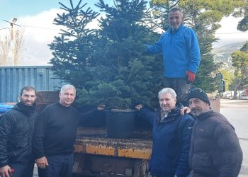 Μεγάλα έλατα εξασφάλισε και διένειμε στους Δήμους - Μέλη του ο ΣΠΑΠ