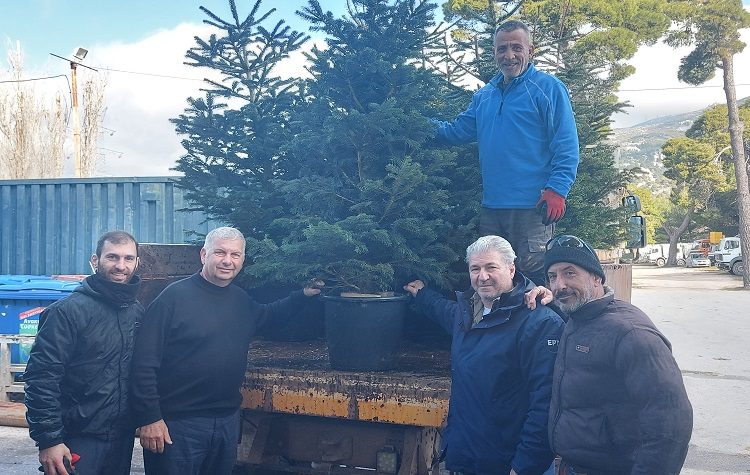 Μεγάλα έλατα εξασφάλισε και διένειμε στους Δήμους - Μέλη του ο ΣΠΑΠ