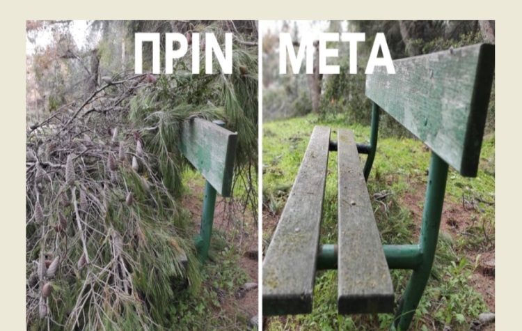 Κοινή «επιχείρηση» ΣΠΑΥ και Δήμου για τον καθαρισμό κλαδιών (Εικόνες)