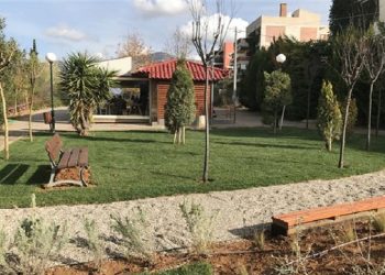 Με νέες φυτεύσεις δένδρων ανανεώνεται το πράσινο της πόλης