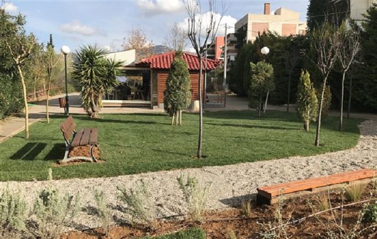 Με νέες φυτεύσεις δένδρων ανανεώνεται το πράσινο της πόλης