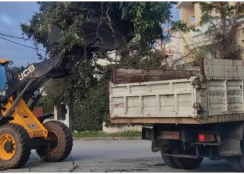 Παρατείνεται ως την 31η Μαρτίου η δωρεάν αποκομιδή των κλαδευτικών υπολειμμάτων