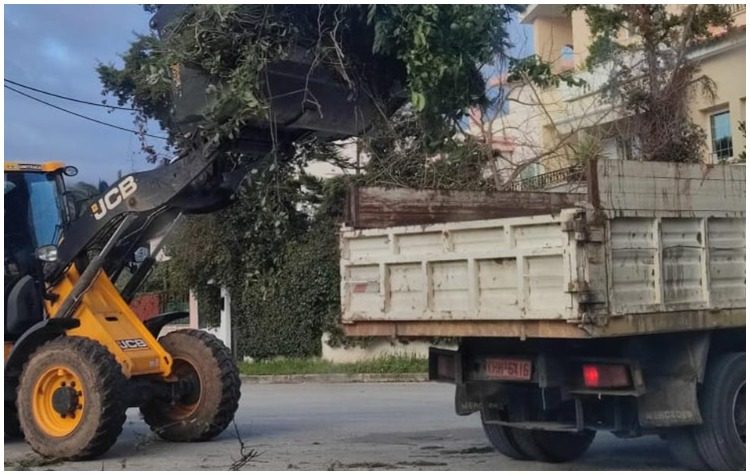 Παρατείνεται ως την 31η Μαρτίου η δωρεάν αποκομιδή των κλαδευτικών υπολειμμάτων