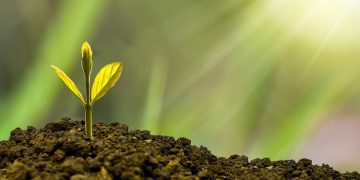 «Ζωή στα καμένα» με τη δράση εθελοντικής δενδροφύτευσης στις 10 Απριλίου