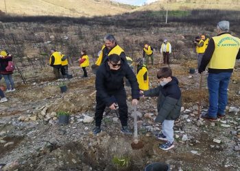 Πλήθος κόσμου στη δράση δενδροφύτευσης στην περιοχή Καμάριζα
