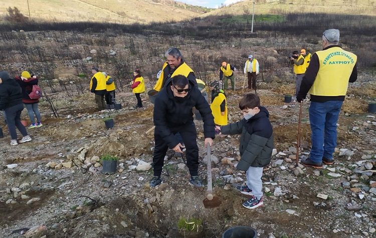 Πλήθος κόσμου στη δράση δενδροφύτευσης στην περιοχή Καμάριζα