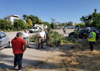 Δήμος Αμαρουσίου: «Καθαρίστε τα οικόπεδά σας»