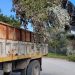 Λήγει το μέτρο της δωρεάν αποκομιδής κλαδευτικών υπολειμμάτων από 1η Απριλίου