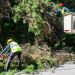 Συνεργεία του ΔΕΔΔΗΕ κλαδεύουν δένδρα που ακουμπούν σε καλώδια ηλεκτροδότησης