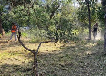 «Επιχείρηση» του Δήμου για αποψιλώσεις και καθαρισμό κοινόχρηστων χώρων