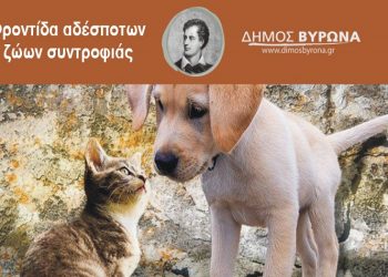 Παγκόσμια Hμέρα αδέσποτων ζώων με ένα πρωτοποριακό πρόγραμμα