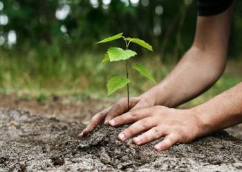 Δενδροφύτευση στην πλατεία Εφημεριδοπωλών το Σάββατο 16 Απριλίου από τον Δήμο