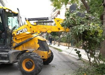 Καθαριότητα, απολύμανση και συντήρηση πρασίνου στο Δήμο Αμαρουσίου