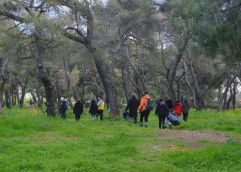 65 μαθητές του 1ου Λυκείου Πεύκης καθάρισαν το δάσος Κάσδαγλη