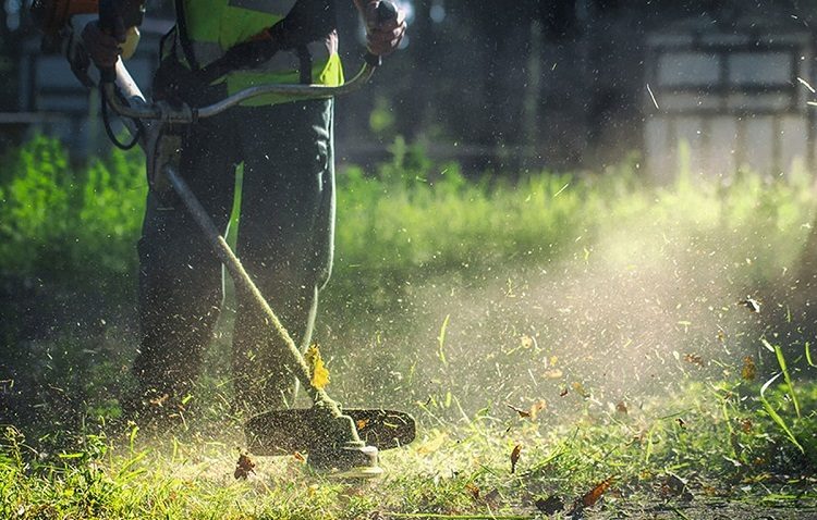 Δήμος Μεταμόρφωσης: «Υποχρεωτικός ο καθαρισμός των οικοπέδων μέχρι το τέλος Απριλίου»