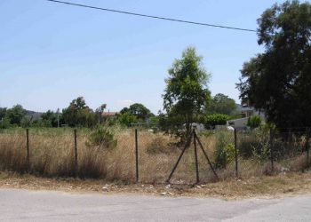 Ως τις 30/4 η προθεσμία καθαρισμού των οικοπέδων στον Δήμο - Aπό 1/5 ξεκινούν οι έλεγχοι και η επιβολή προστίμων