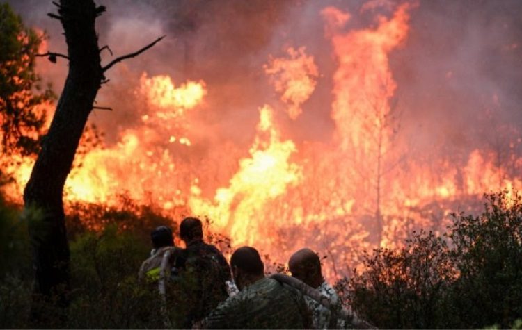 Απαλλαγή  Δ. Στεργίου - Καψάλη για το Μάτι, κακούργημα για πέντε