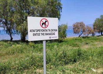 Αποξήλωση παράνομων πινακίδων σε παραλία σχετικά με απαγόρευση σκυλιών στη θάλασσα