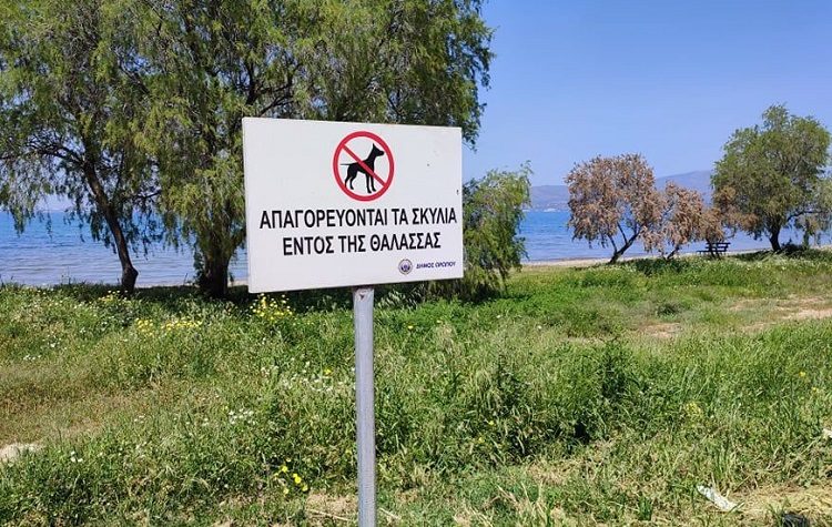 Αποξήλωση παράνομων πινακίδων σε παραλία σχετικά με απαγόρευση σκυλιών στη θάλασσα