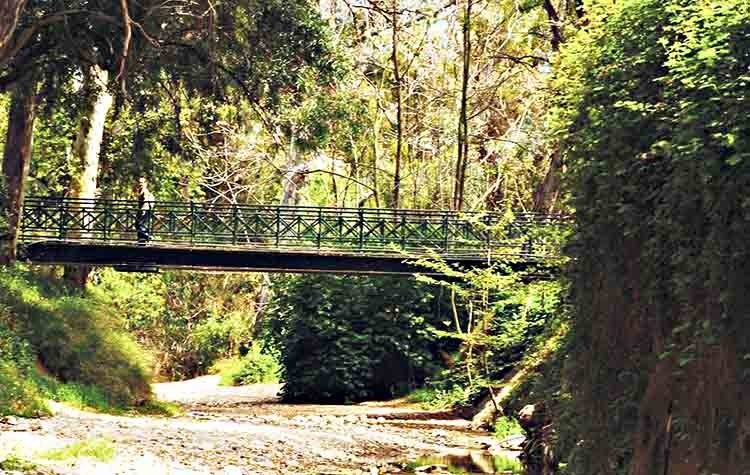 Ημερίδα για τη δασοπροστασία από τον Σύλλογο Ρεματιάς Πεντέλης - Χαλανδρίου