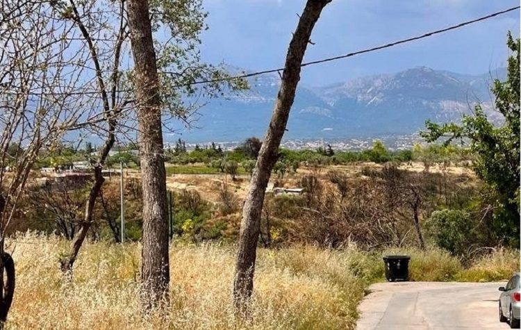 Σύλλογος Αδαμών «Ο Κηφισσός»: Δράση εθελοντικού καθαρισμού την Κυριακή 22/5