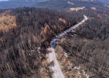 To Cine - Δράση τιμά την Παγκόσμια Ημέρα Περιβάλλοντος με το ντοκιμαντέρ «Το σχέδιο»