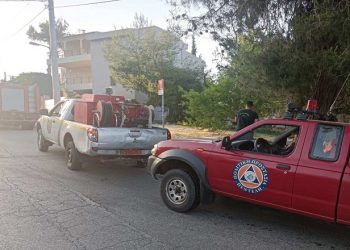 Κατασβέστηκε άμεσα μικρής έκτασης πυρκαγιά στα Μελίσσια