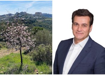 Δημήτρης Γαλάνης στην ΑΜΑΡΥΣΙΑ: «Θα ζητήσουμε από το Δημόσιο τα 242 στρέμματα στα Τουρκοβούνια»