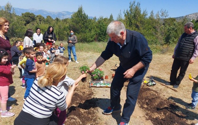 Eκπαιδευτικές δράσεις, με φύτευση φυτών στους βρεφονηπιακούς σταθμούς του Δήμου, από τον ΣΠΑΠ