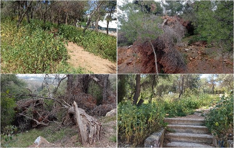 Λόφος Τσακού: Έναρξη αντιπυρικής περιόδου με διαχρονικά προβλήματα (Εικόνες)