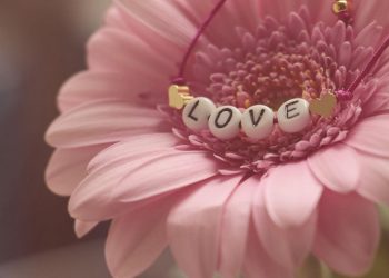 68η Ανθοκομική Έκθεση Κηφισιάς: Το πρόγραμμα των εκδηλώσεων έως τις 15 Μαΐου