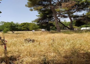 Σύλλογος Ρεματιάς: «Το πάρκο Φραγκοκλησιάς εκπέμπει SOS, λόγω αδράνειας του Δήμου Αμαρουσίου»