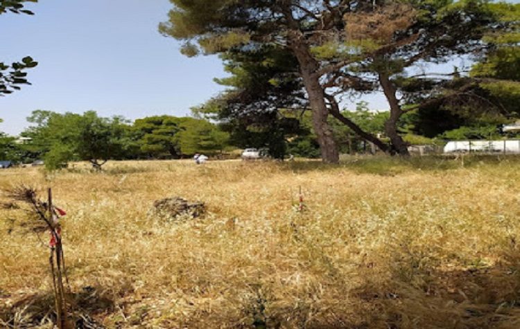 Σύλλογος Ρεματιάς: «Το πάρκο Φραγκοκλησιάς εκπέμπει SOS, λόγω αδράνειας του Δήμου Αμαρουσίου»