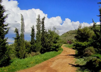 Καλά κάνει και οραματίζεται…