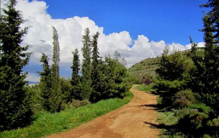 Καλά κάνει και οραματίζεται…