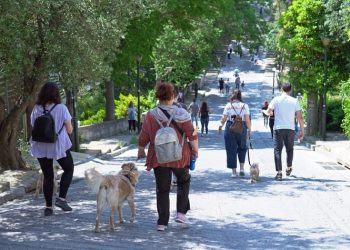 «Κυνηγώντας την ουρά τους»: «Τετράποδη» γιορτή χαράς στο Χαλάνδρι (Εικόνες)