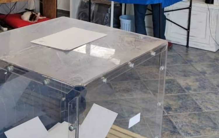 ΟΜ ΣΥΡΙΖΑ: «Ξεπέρασε κάθε προσδοκία η συμμετοχή στις εσωκομματικές διαδικασίες»