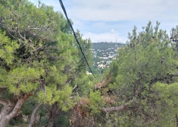 Γιάννης Πισιμίσης: «Άμεση κινητοποίηση για την αντιπυρική περίοδο»
