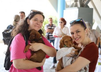 Επιτυχημένη η Φιλοζωϊκή Δράση «Νοιάζομαι» στο Μαρούσι